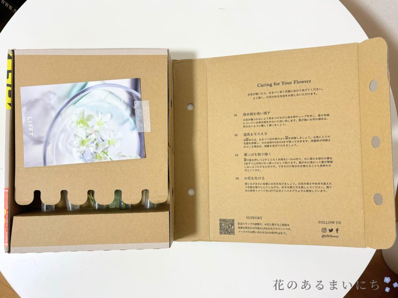 LIFFTリフトお花の定期便の口コミ・評判まとめ花オタクが徹_14