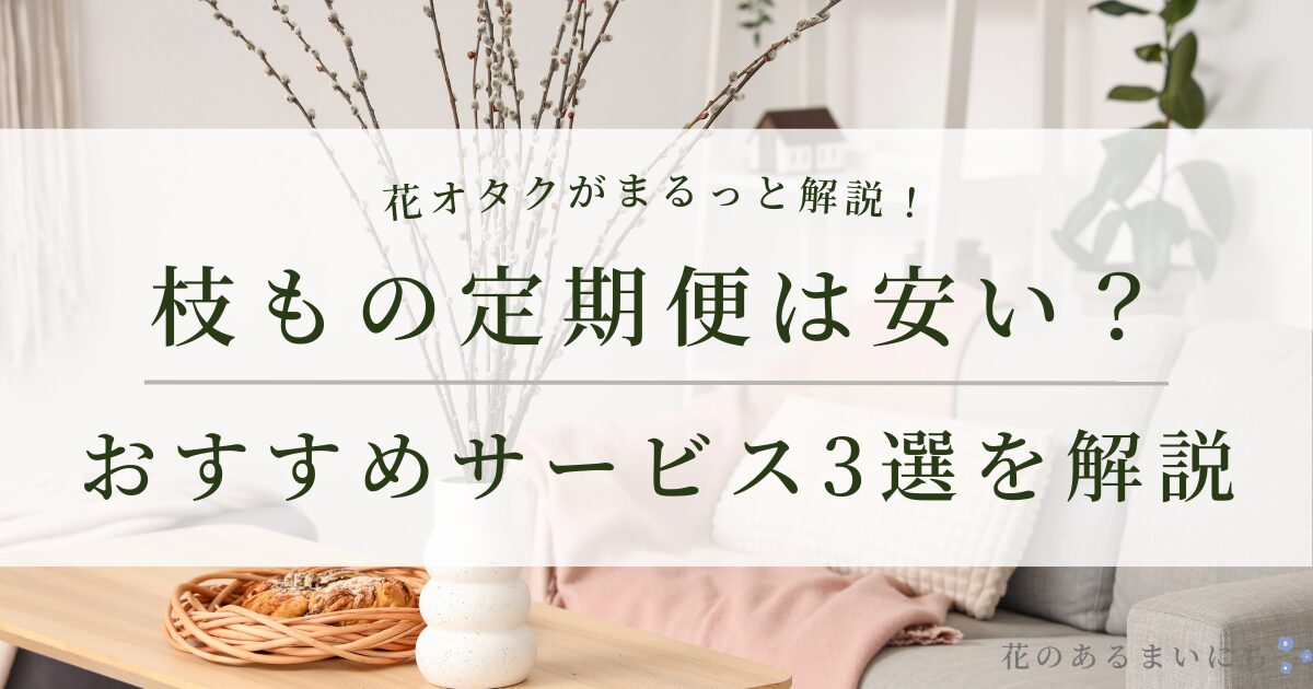 枝もの定期便は安い？おすすめサービス3選を解説【花オタクが徹底比較】