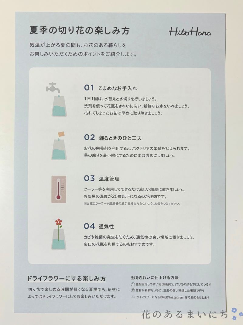 HitoHanaひとはな花の定期便の口コミ・評判まとめ花オタ_31