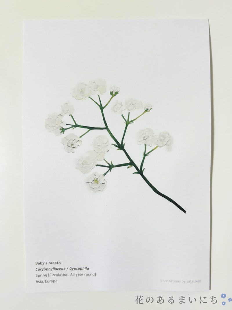 HitoHanaひとはな花の定期便の口コミ・評判まとめ花オタ_33