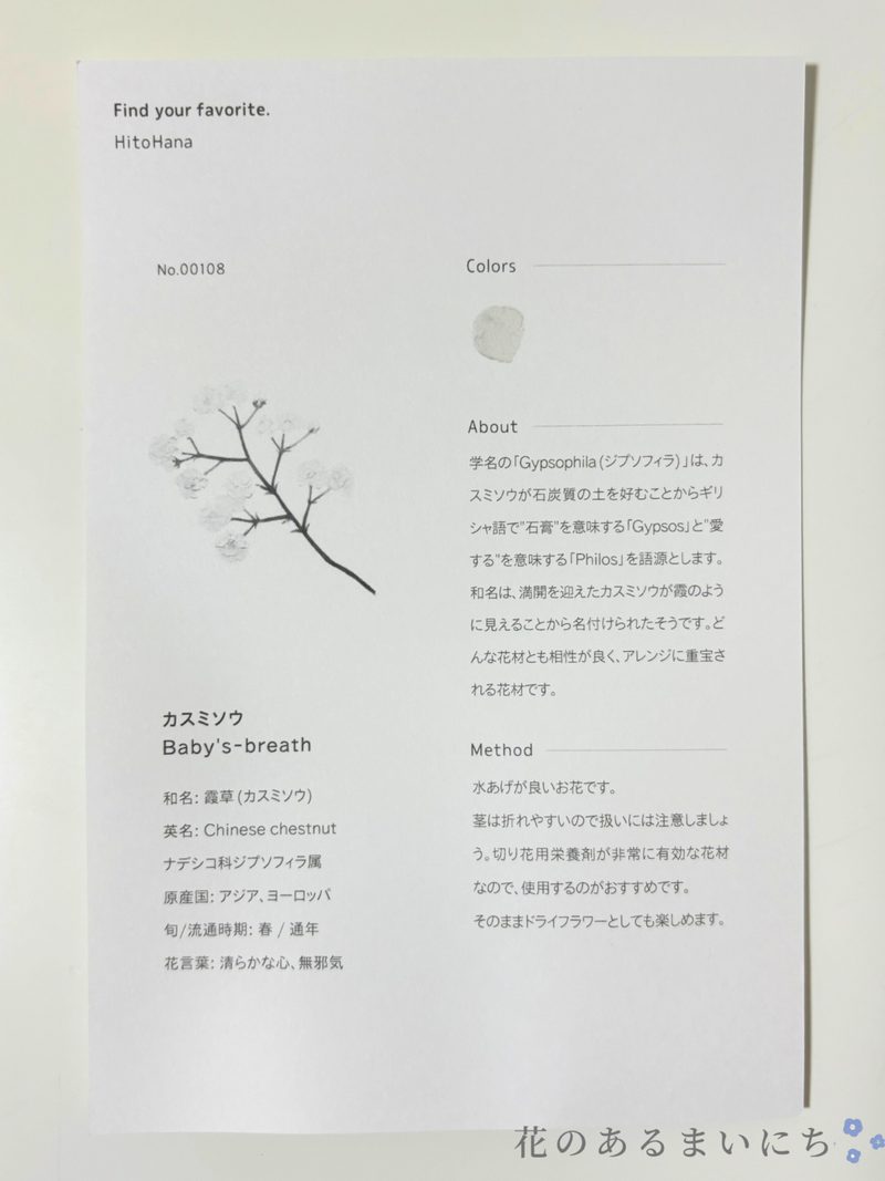 HitoHanaひとはな花の定期便の口コミ・評判まとめ花オタ_34