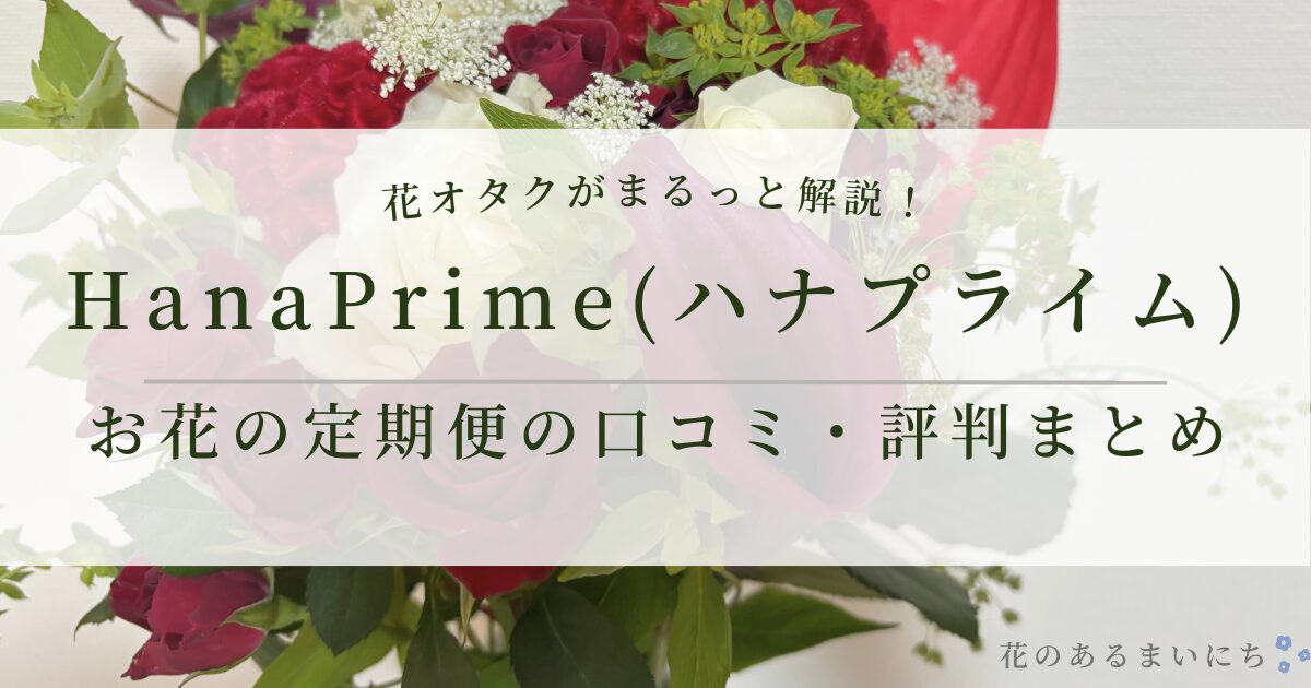 【花オタクが徹底レビュー】HanaPrime(ハナプライム)お花の定期便の口コミ・評判まとめ