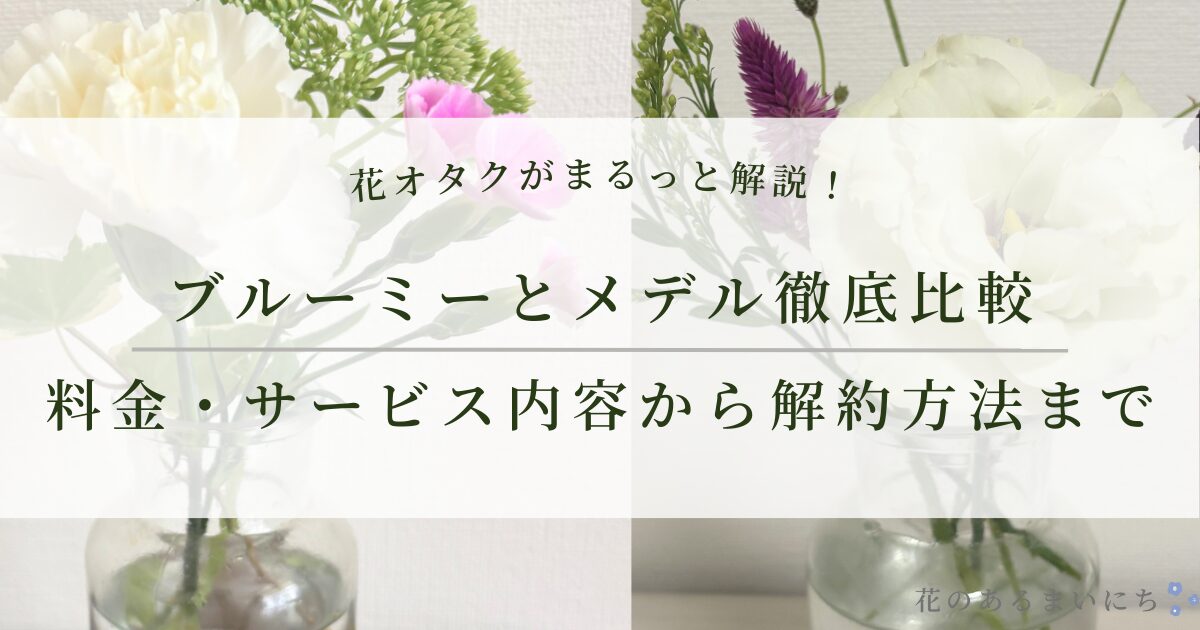 ブルーミーとメデルはどちらがおすすめ？料金・サービス内容から解約方法まで徹底比較