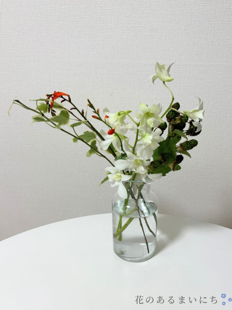 LIFFTリフトお花の定期便の口コミ・評判まとめ花オタクが徹_17
