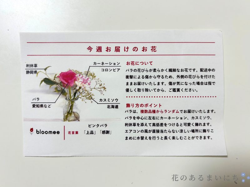 bloomee お試しプランに同梱されていたお花の説明書