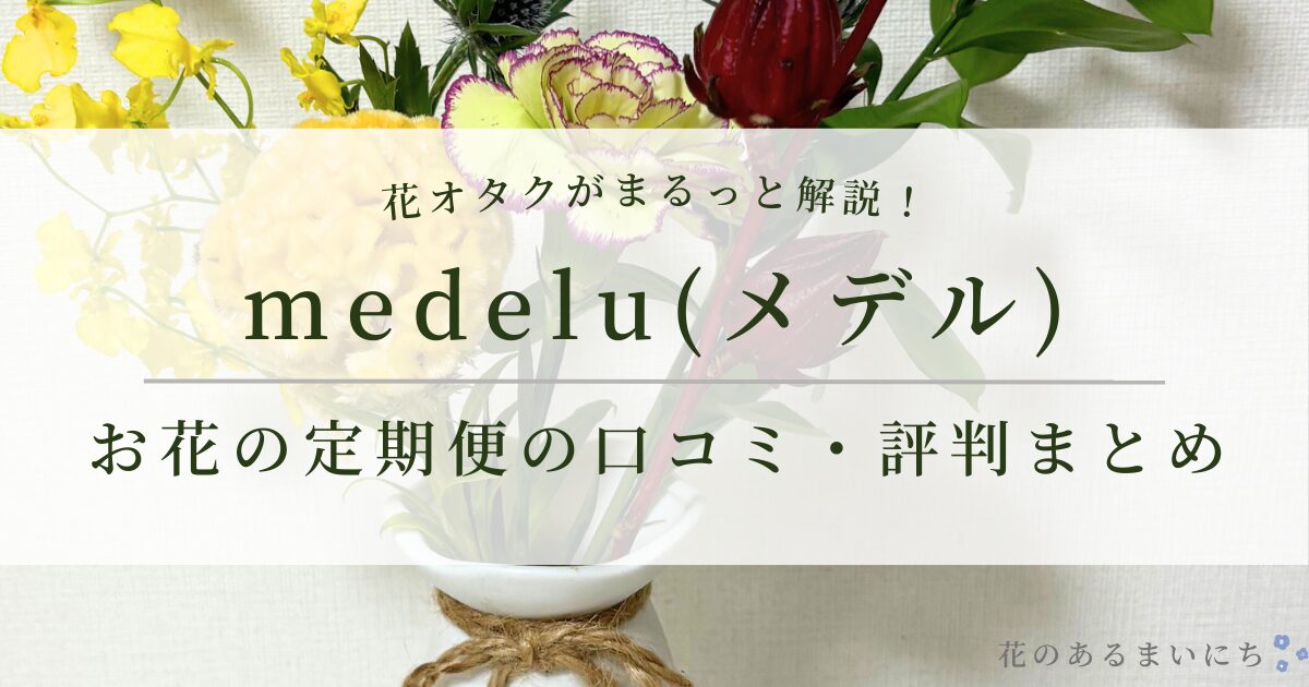 【花オタクが徹底レビュー】medelu(メデル)お花の定期便の口コミ・評判まとめ