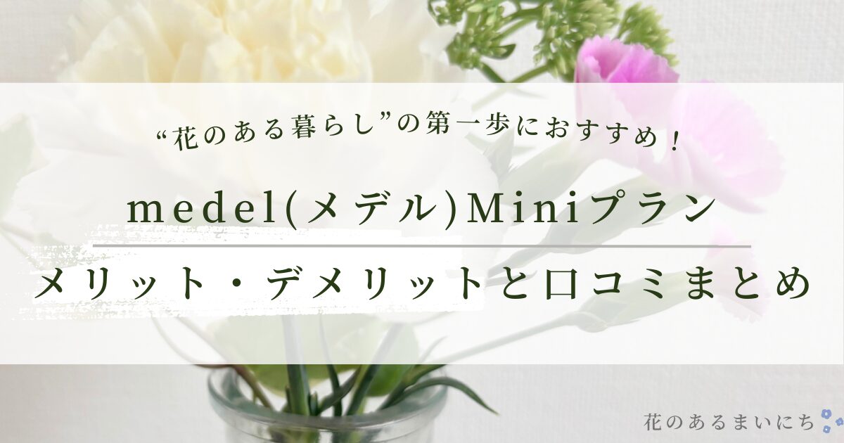 【medel Miniプランをレビュー】実際に使ってわかったメリット・デメリットと口コミまとめ