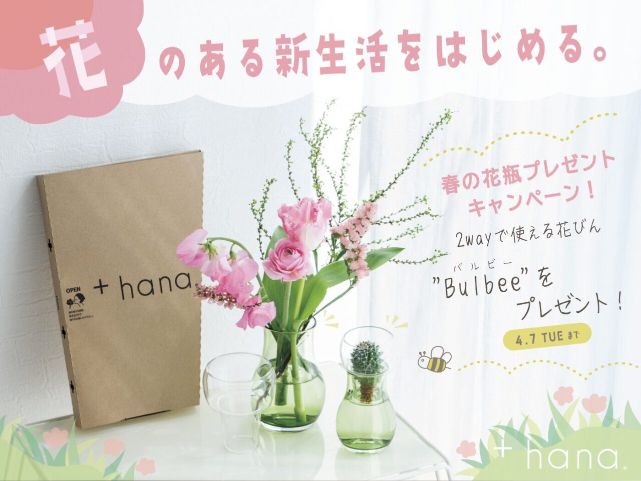 無料で花瓶プレゼント+hanaタスハナとはどんな定期便?料金_6