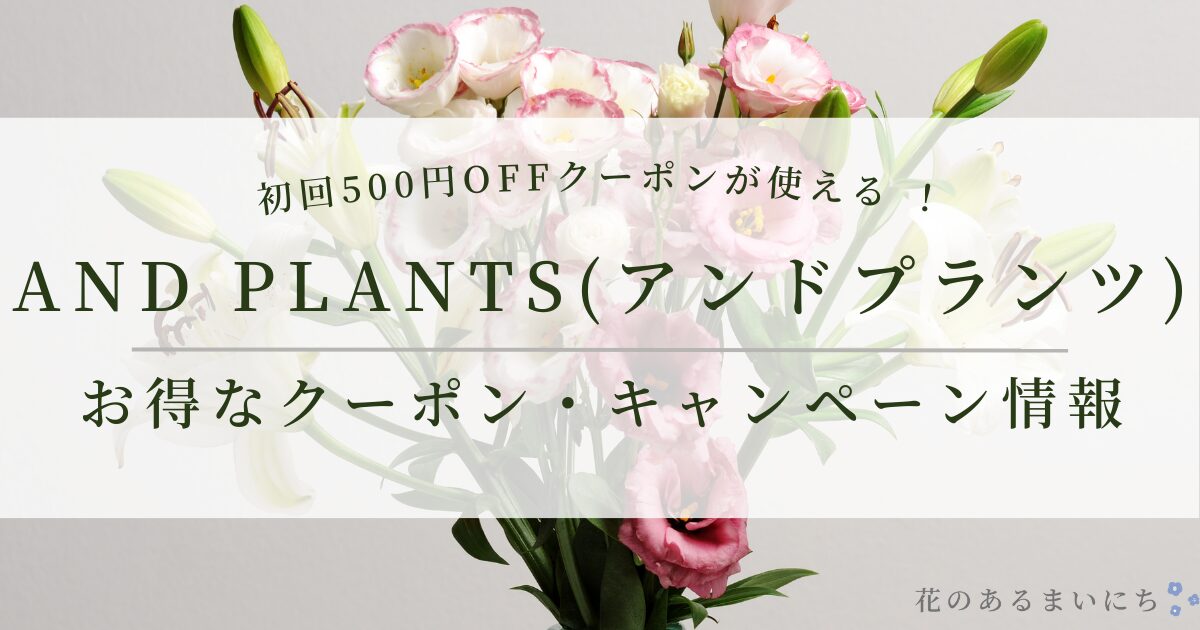 【初回500円オフ】AND PLANTS（アンドプランツ）のお得なクーポン・キャンペーン情報