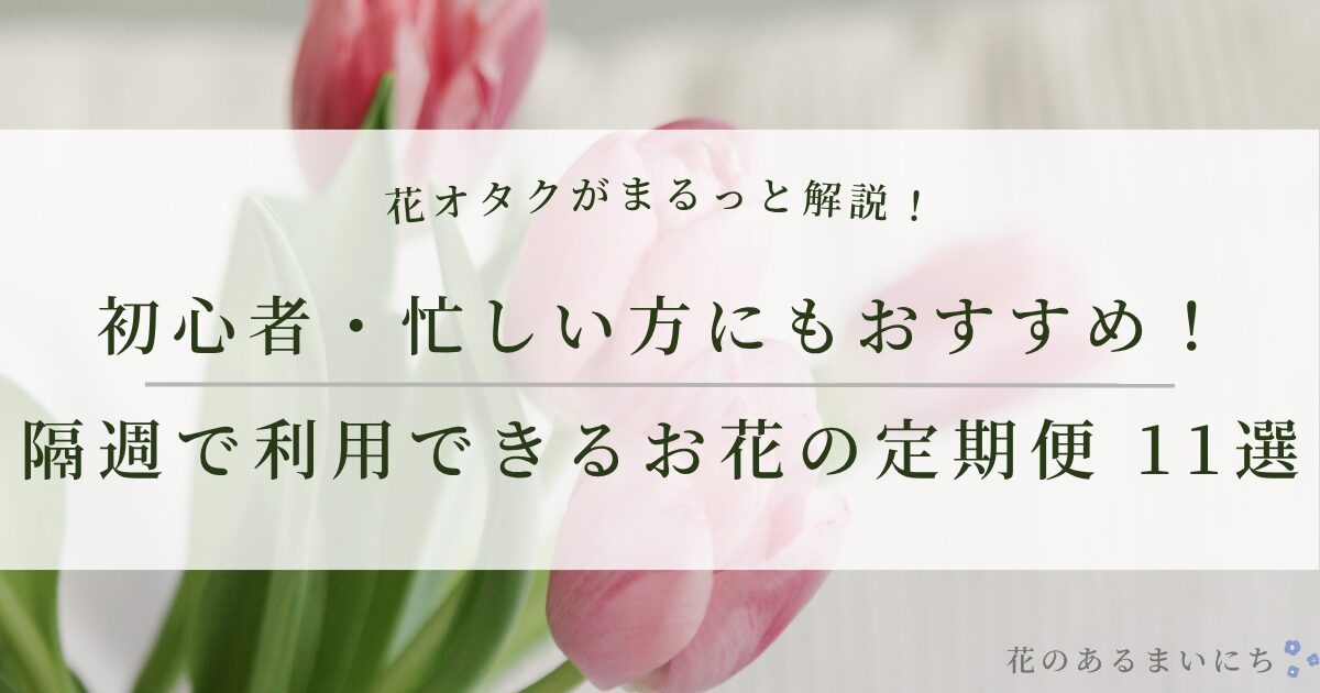 【隔週で届く】花の定期便・サブスクのおすすめ11選｜初心者・忙しい方にもおすすめ！