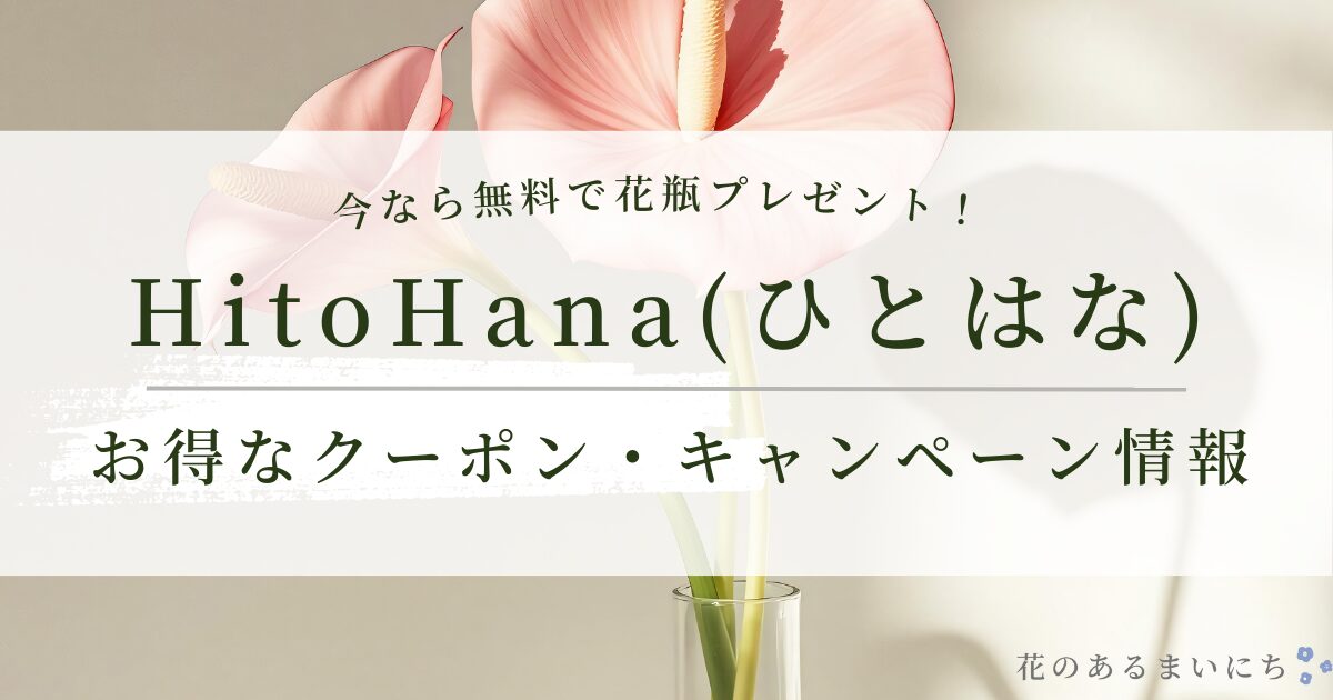 【無料で花瓶プレゼント】HitoHana(ひとはな)のお得なクーポン・キャンペーン情報