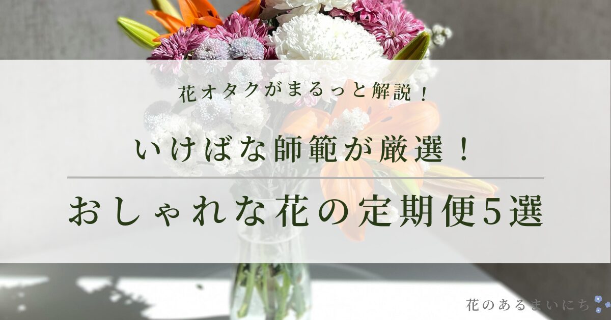 【2026年最新】おしゃれな花の定期便(サブスク)おすすめ5選！いけばな師範が厳選