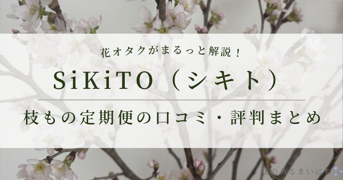 【1,000円OFFクーポンあり】SiKiTO（シキト）枝もの定期便 60cmを徹底レビュー！