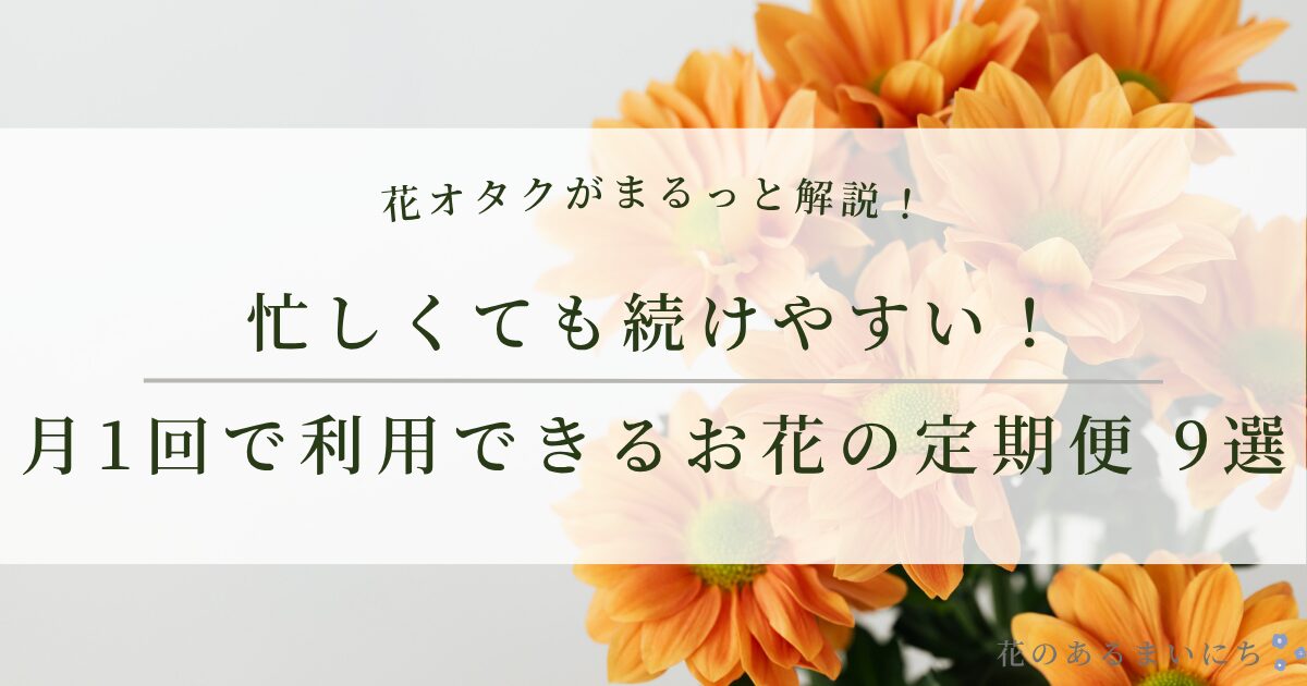 【月1回でOK】花の定期便・サブスクのおすすめ9選｜忙しくても続けやすいサービスを厳選！
