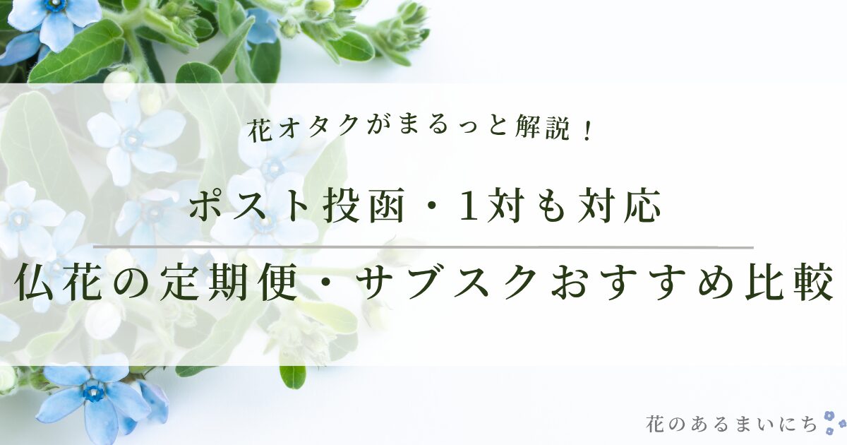 仏花の定期便・サブスクおすすめ比較｜月命日も安心！ポスト投函・1対（二束）も対応