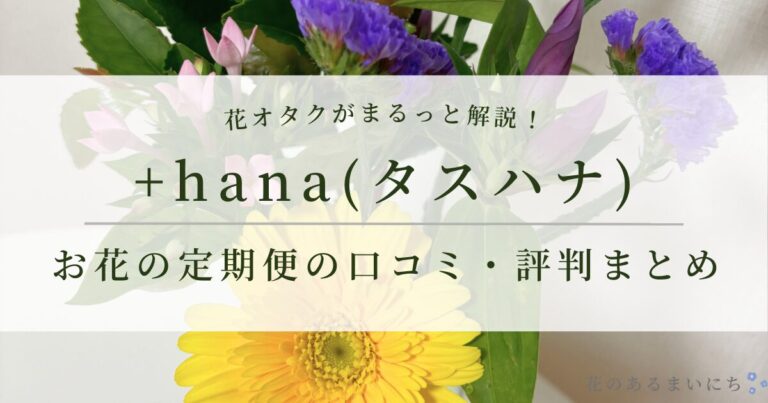 +hana（タスハナ）花の定期便