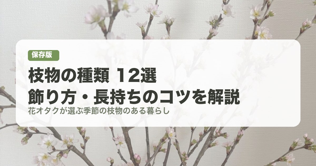 枝物の種類12選｜飾り方・長持ちのコツ