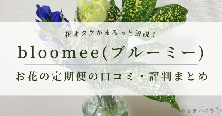 bloomee（ブルーミー）花の定期便