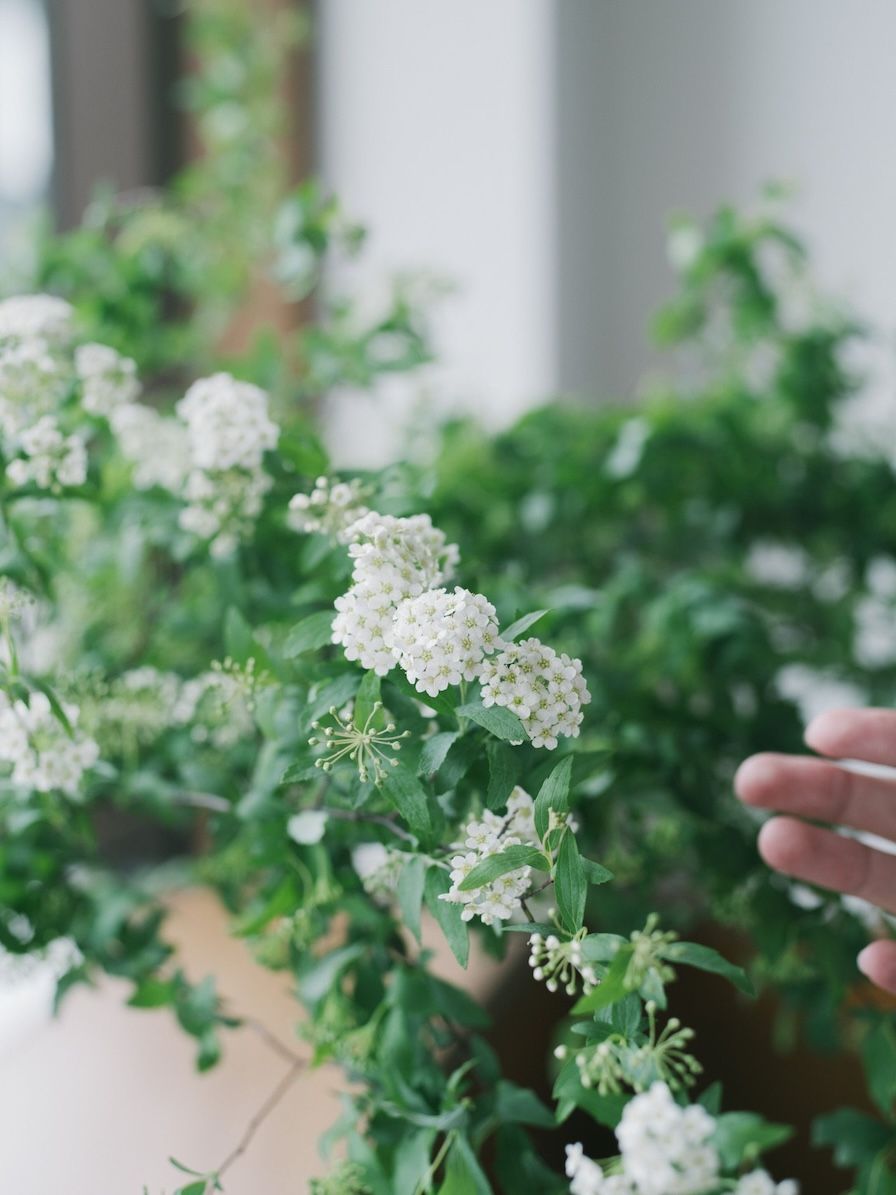 FLOWERの季節の枝もの定期便